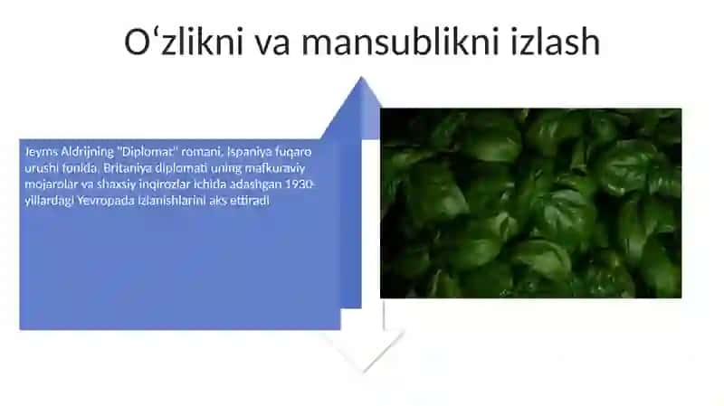 Antikolonia roman 4