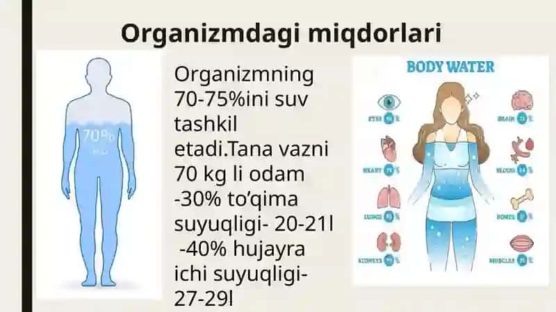 qon fiziologiyasi 4