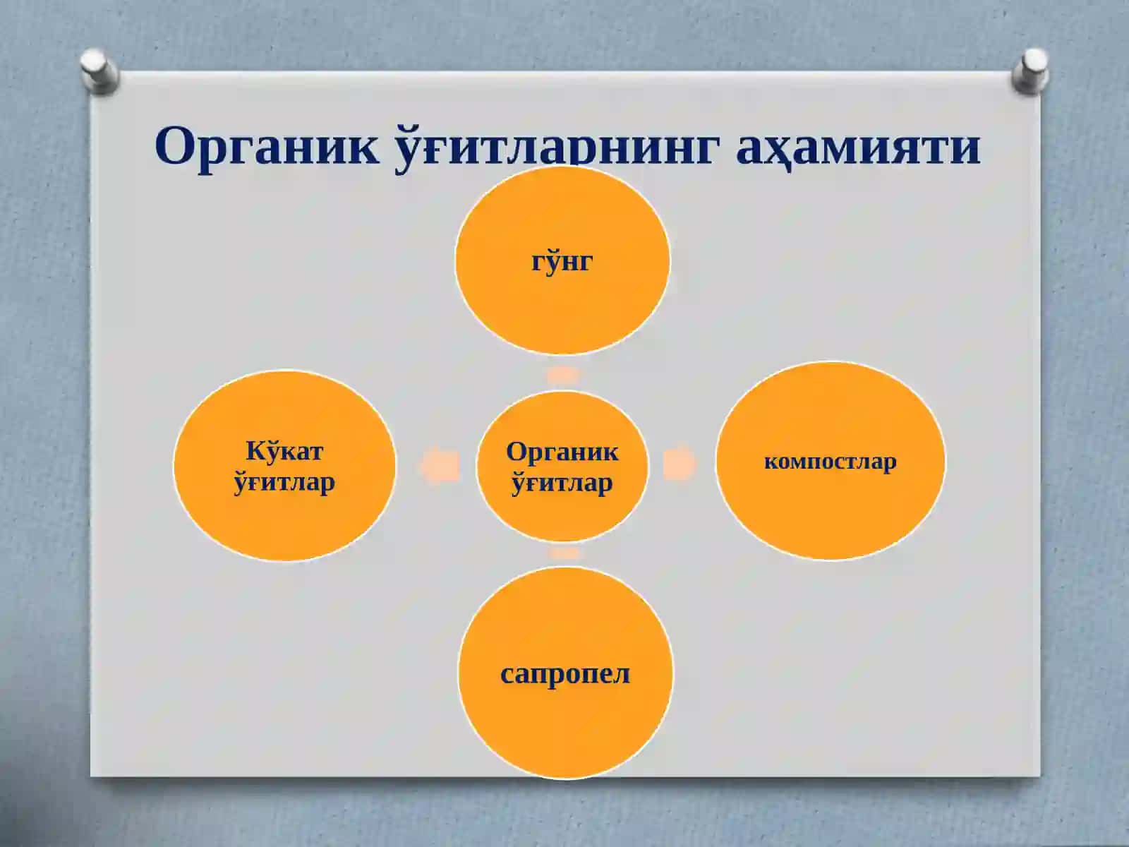 Органик ўғитлар 4