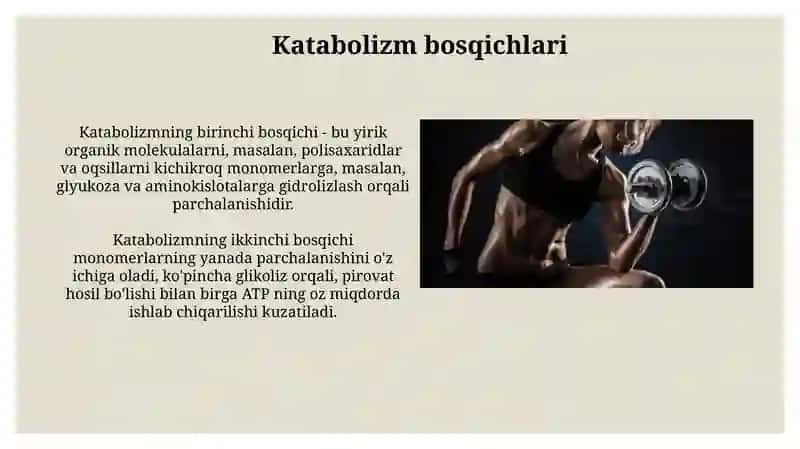 Katabolizm va anabolizm 4