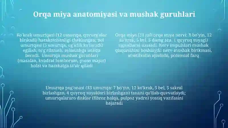 Sirpanuvchi ipchalar modeli 4