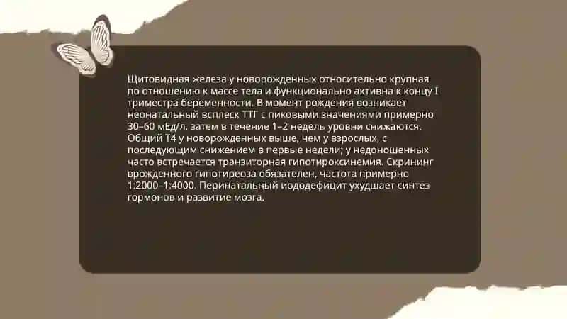 Возрастные особенности желез внутренней секреции 4