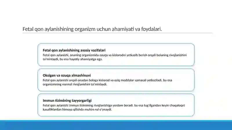 Ona qornida qon aylanishi va uning ahamiyati 4