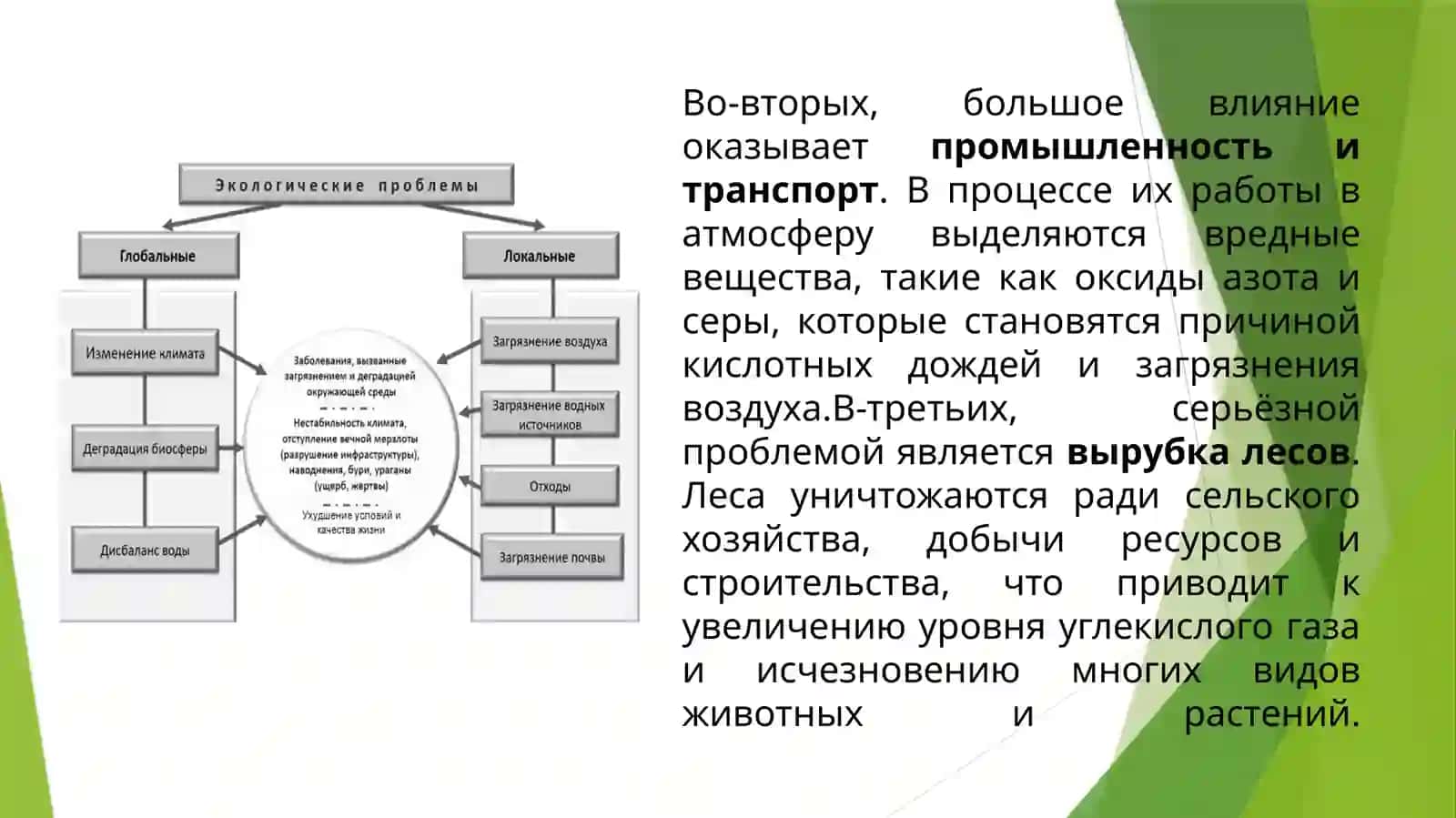 “Проблемы экологии” 4