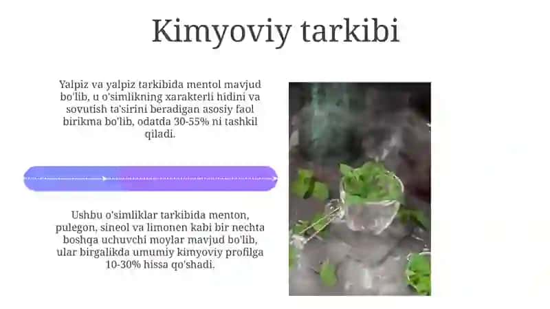 Yalpiz o'simliklar 4