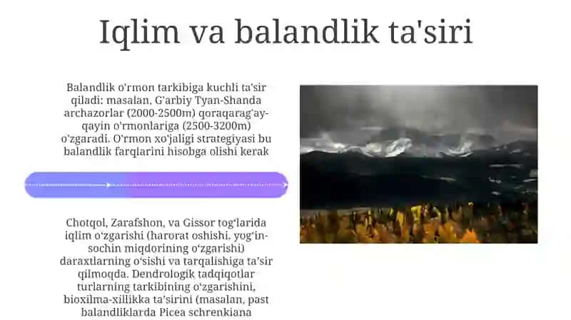 Oʻzbekiston togʻ oʻrmonlari. Dendrologik tarkibi va xoʻjalik yuritish 4