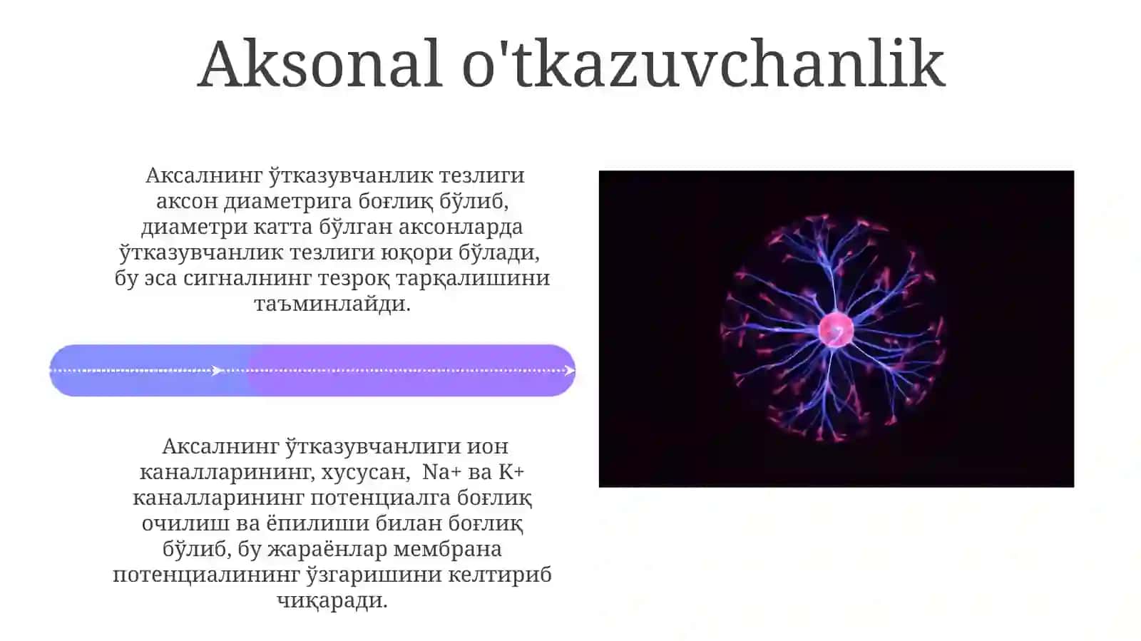 Neyronlarda nerv impluslarning hosil boʻlish mexanizmlari 4