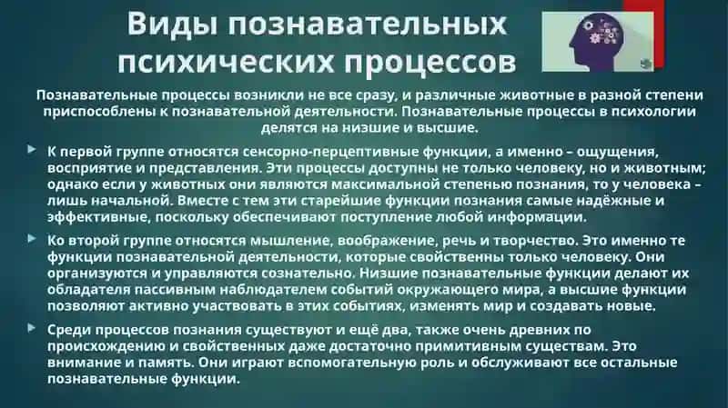 Познавательные процессы в общей психологии 4