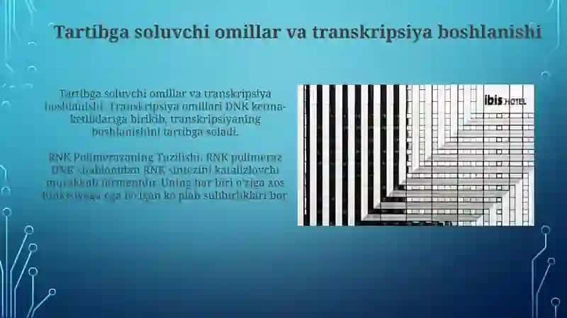 RNK Polimeraza Tuzilishi 4