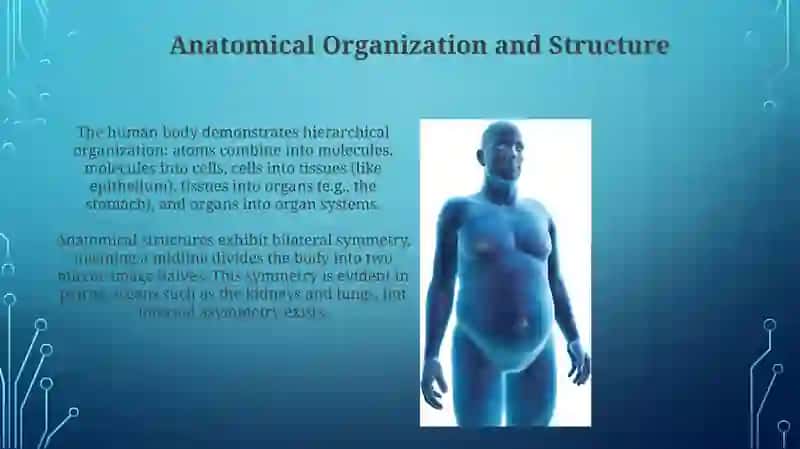The Integrated Human: Anatomy, Physiology, and Homeostasis 4