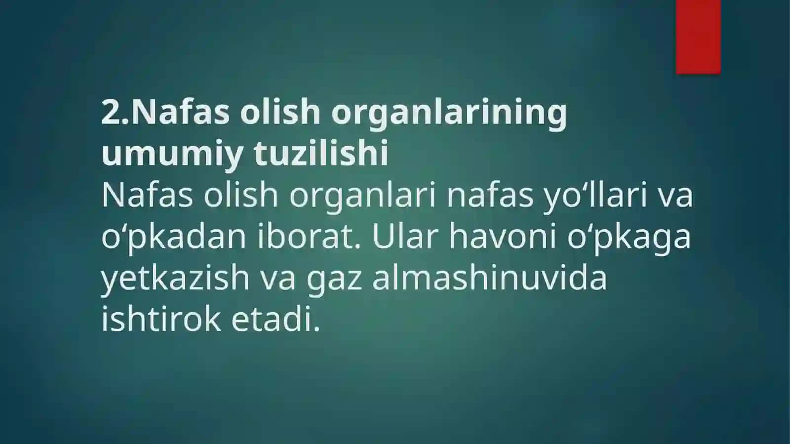 Basketbol Ta’lim Yo’nalishi 1-kurs - Nafas olish organlari tuzilishi 4
