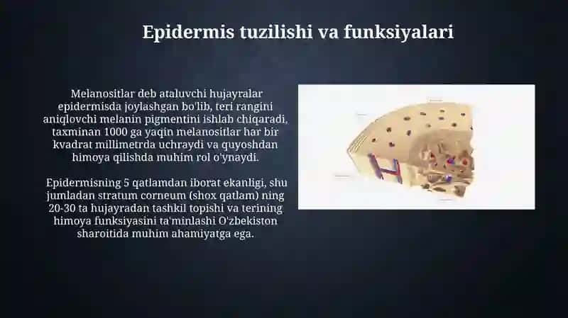 Teri tuzilishi Funksiyalari 4