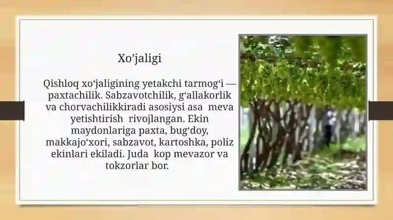 Mening qishlog'im Yangiqo'rg'on 4
