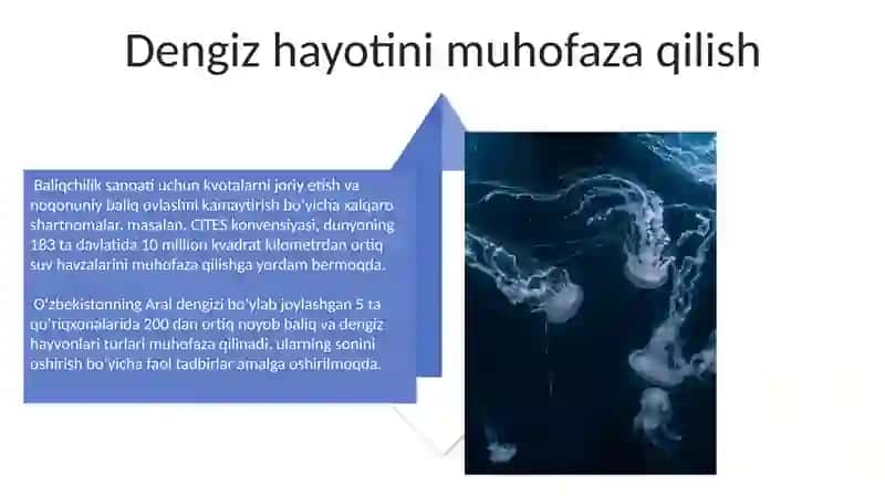 Baliqlar va dengizda yashovchilar 4