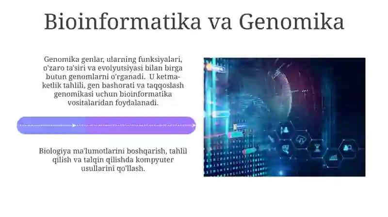 Ma'lumotlar Informatikasi 4