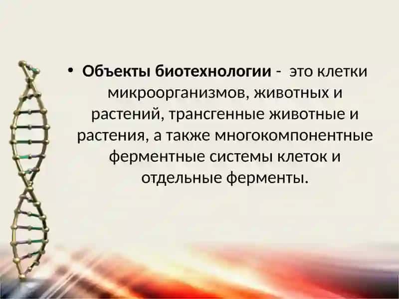 Объекты биотехнологии 4