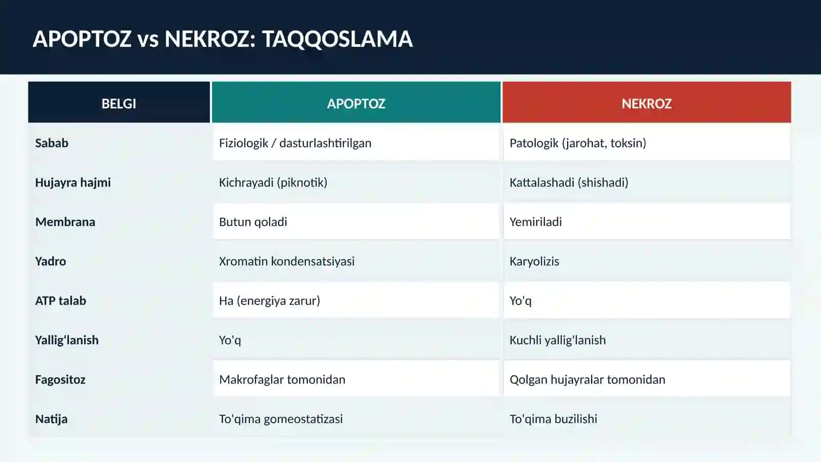 PATOLOGIK FIZIOLOGIYA 4