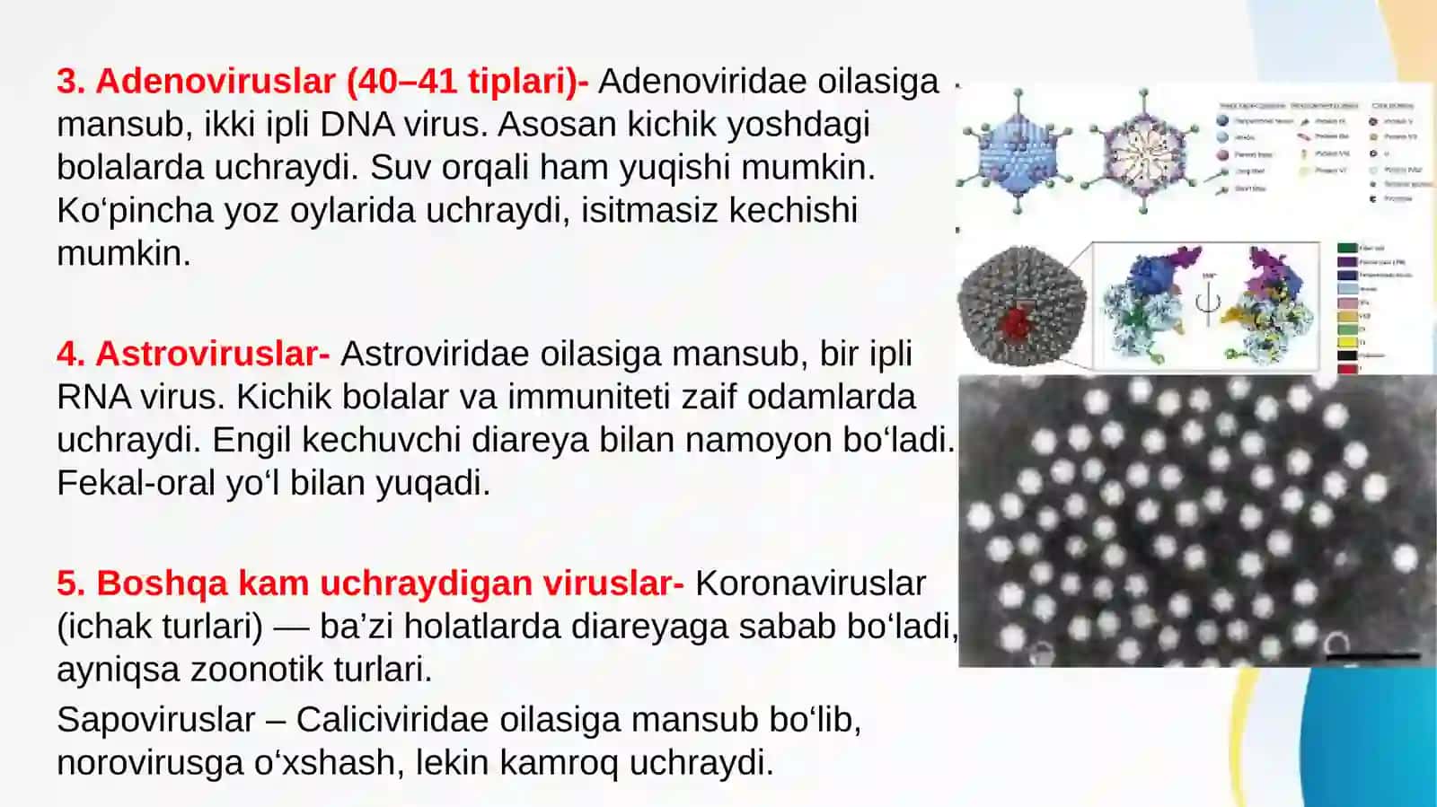 Diareyagen viruslar: klassifikasiyasi, patogenezi, laboratoriya tashhisi 4