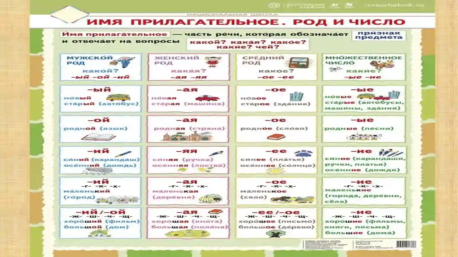 Имя прилагательное в русском языке 4