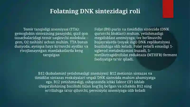 B12, B9 tanqisligi anemiyasi 4
