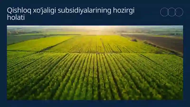 Qishloq Xo‘jaligi Subsidiyalari 4