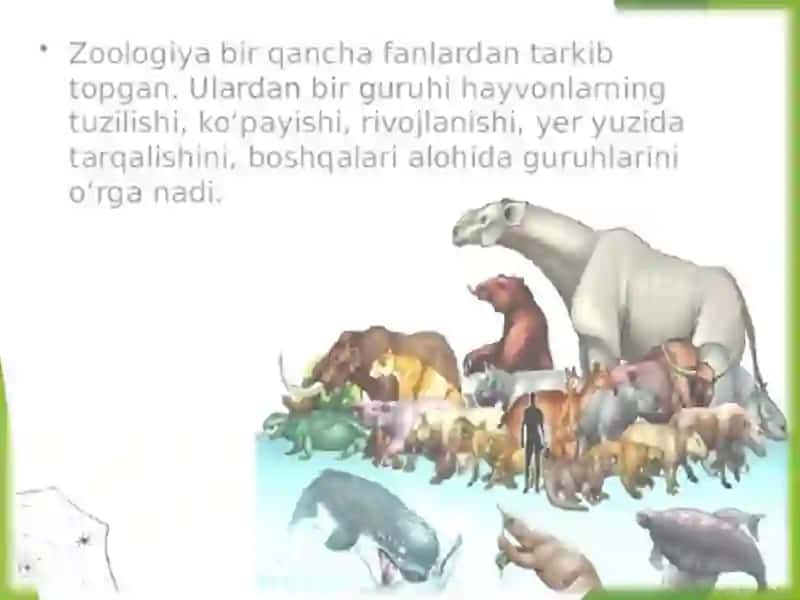 Zoologiya 4