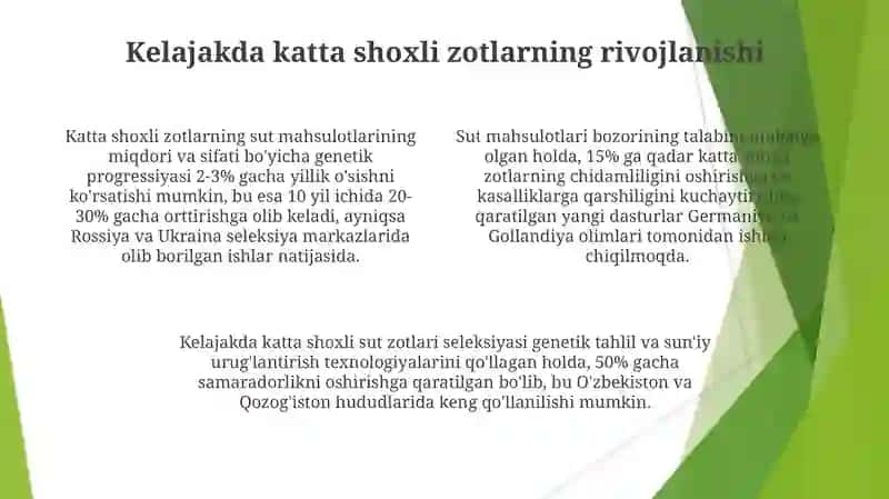 Yirik shoxli qoramollarning sut yoʻnalishidagi zotlari 4