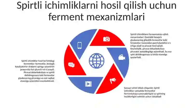 Spirt Ishlab Chiqarishda Fermentlar 4