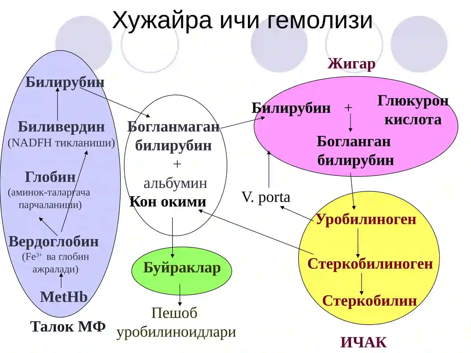 Гемолитические анемии 4