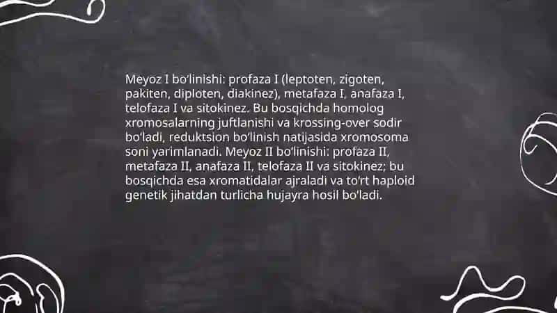 Meyoz 4