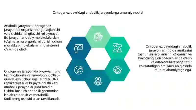 Ontogenez jarayonlari 4