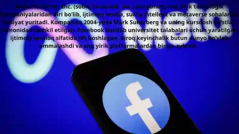 Meta Kompaniyasi Boshqaruv Usullari 4