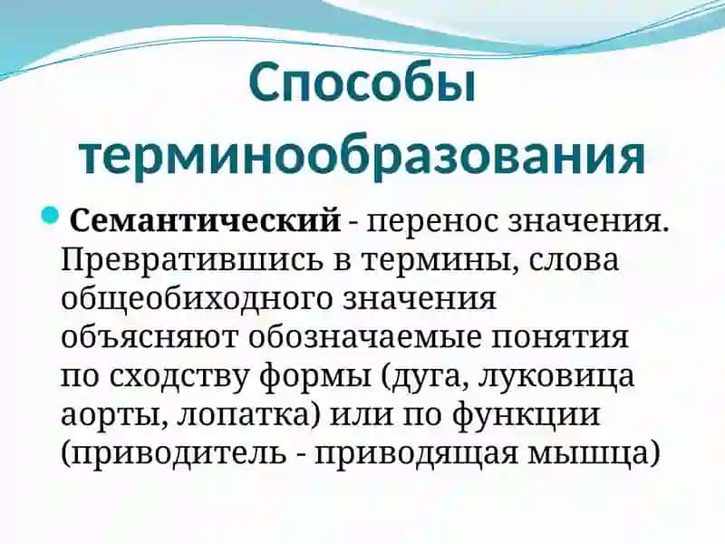 Научная терминология потекстолингвистике 4