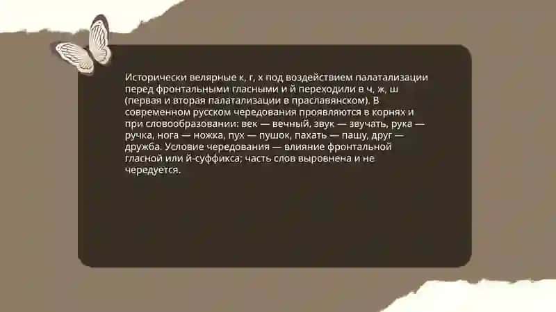 исторические и современные чередования 4