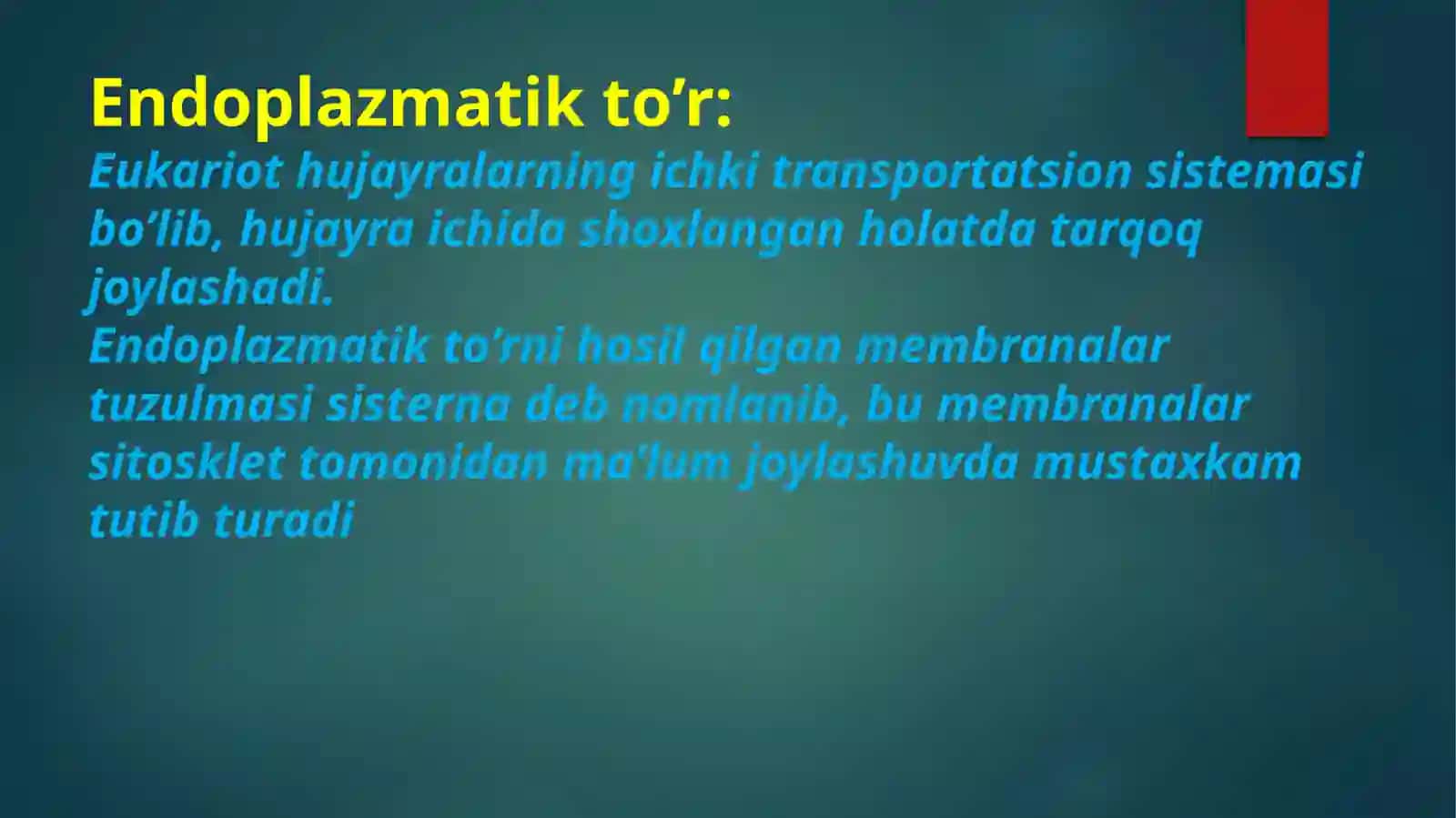 Organoidlar: Endoplazmatik to’r, Membranasiz organellalar:Ribosomalar, sitoskelet va proteosomaBir qavat lipid:Lizosoma, Golji apparati, Endoplazmatik to’r, Peroksisoma va Vakuola.Ikki qavatli membrana:Mitoxondriya 4