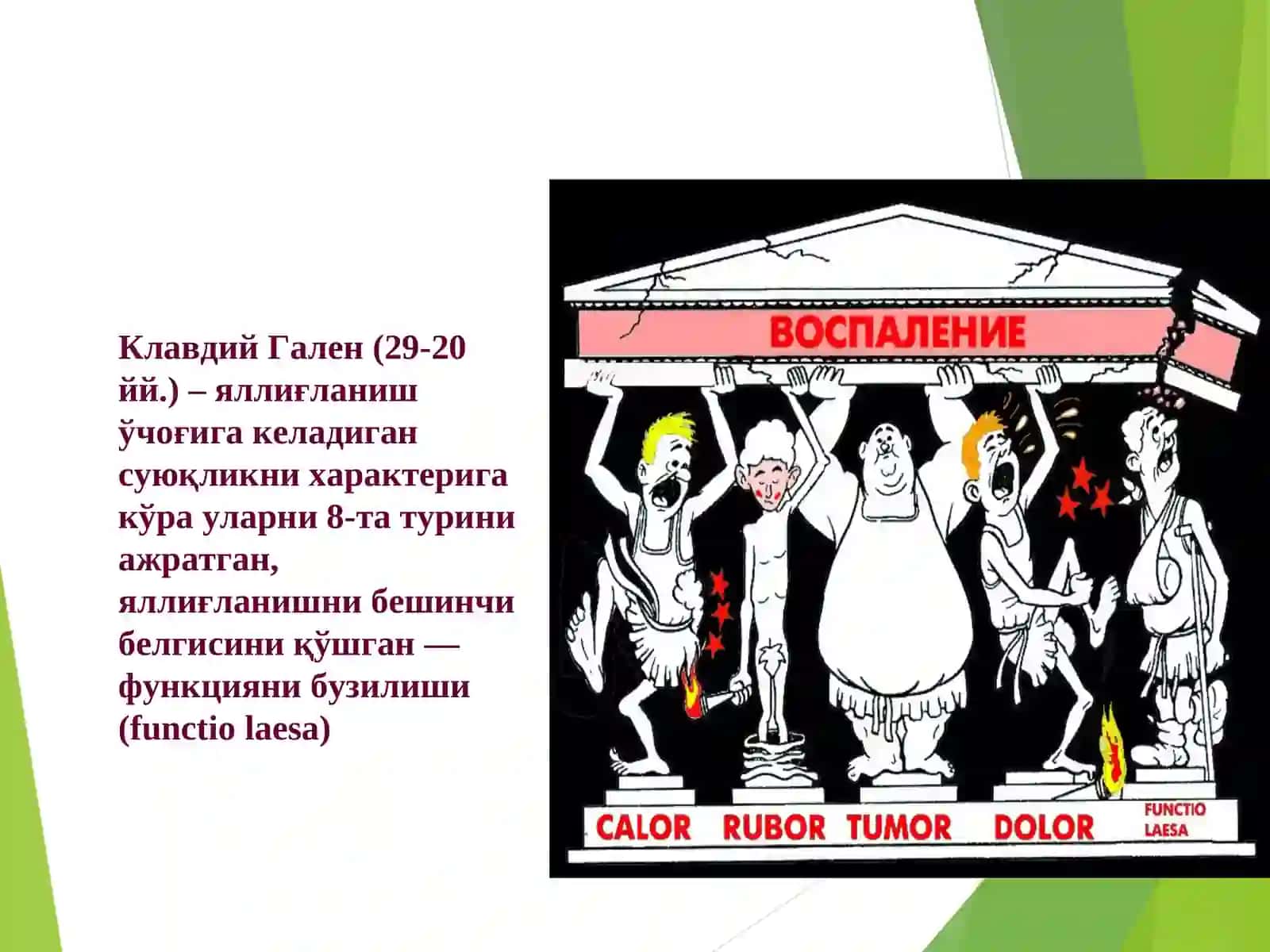 Яллиғланиш патофизиологияси 4