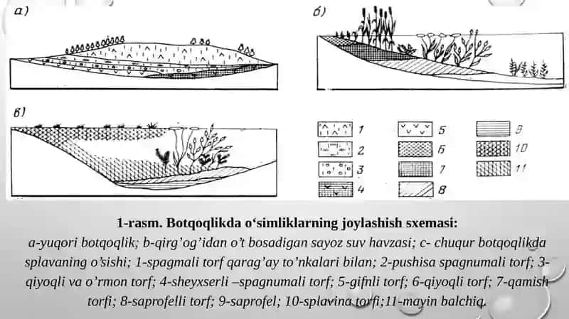 Yo‘llarni botqoqlangan hududlarda loyihalash. (taqdimot (slayd)). 4