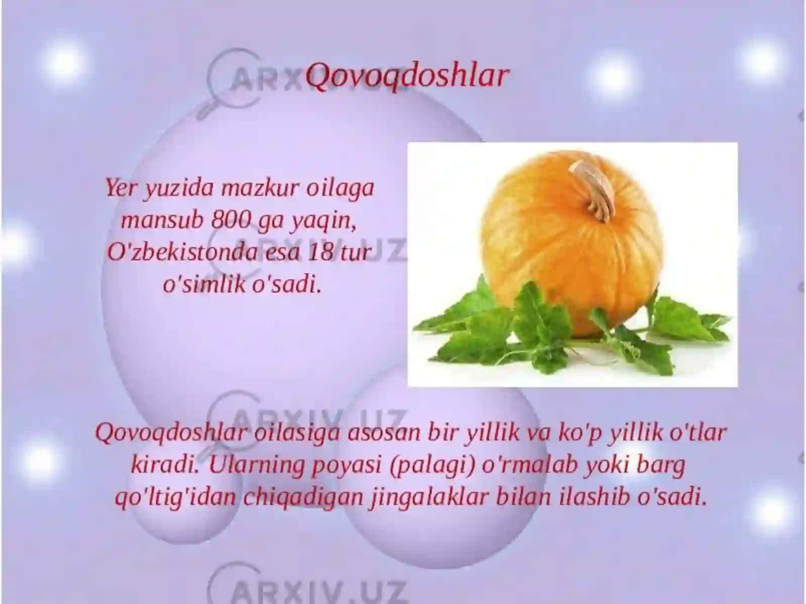 Qovoqdoshlar oilasi 4