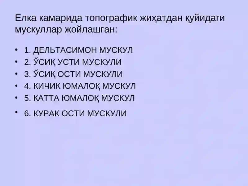 Елка камари ва эркинқўл мускуллари 4