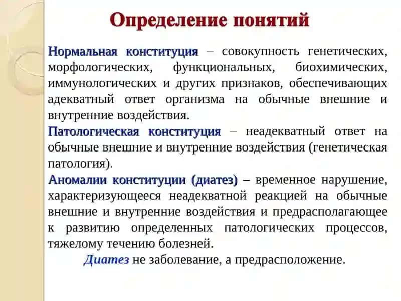 Терминология 4