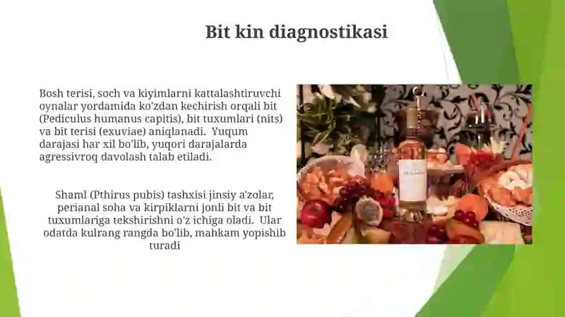 Bitlar turkumi — Anoplura 4