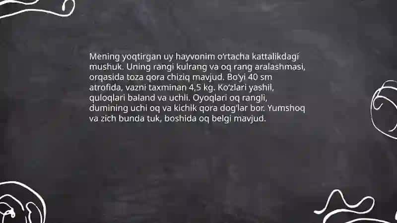 Yoqtirgan uy hayvonim 4
