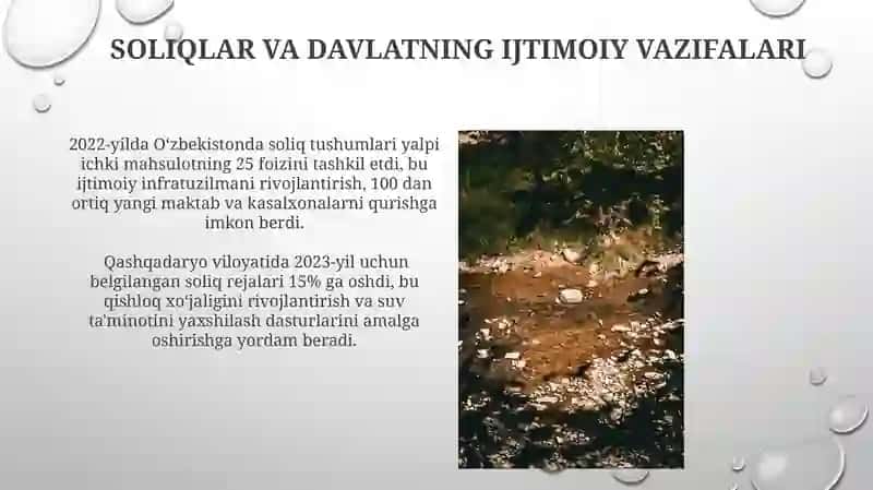 Davlat byudjeti soliqlarining ahamiyati 4
