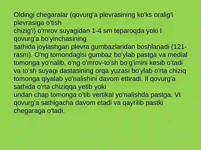Plevra va o’pkaning chegaralari 4