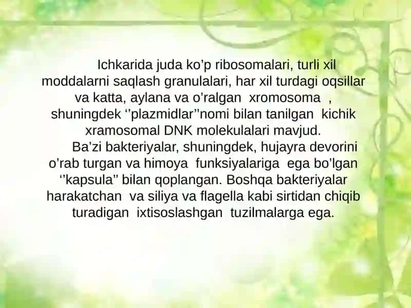 Bakteriyalarning Ko'payishi 4