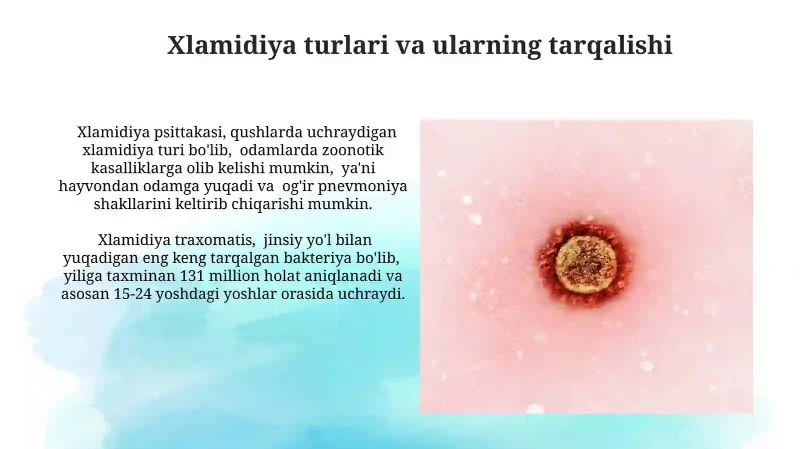 Xlamidioz qo‘zg‘atuvchilari 4