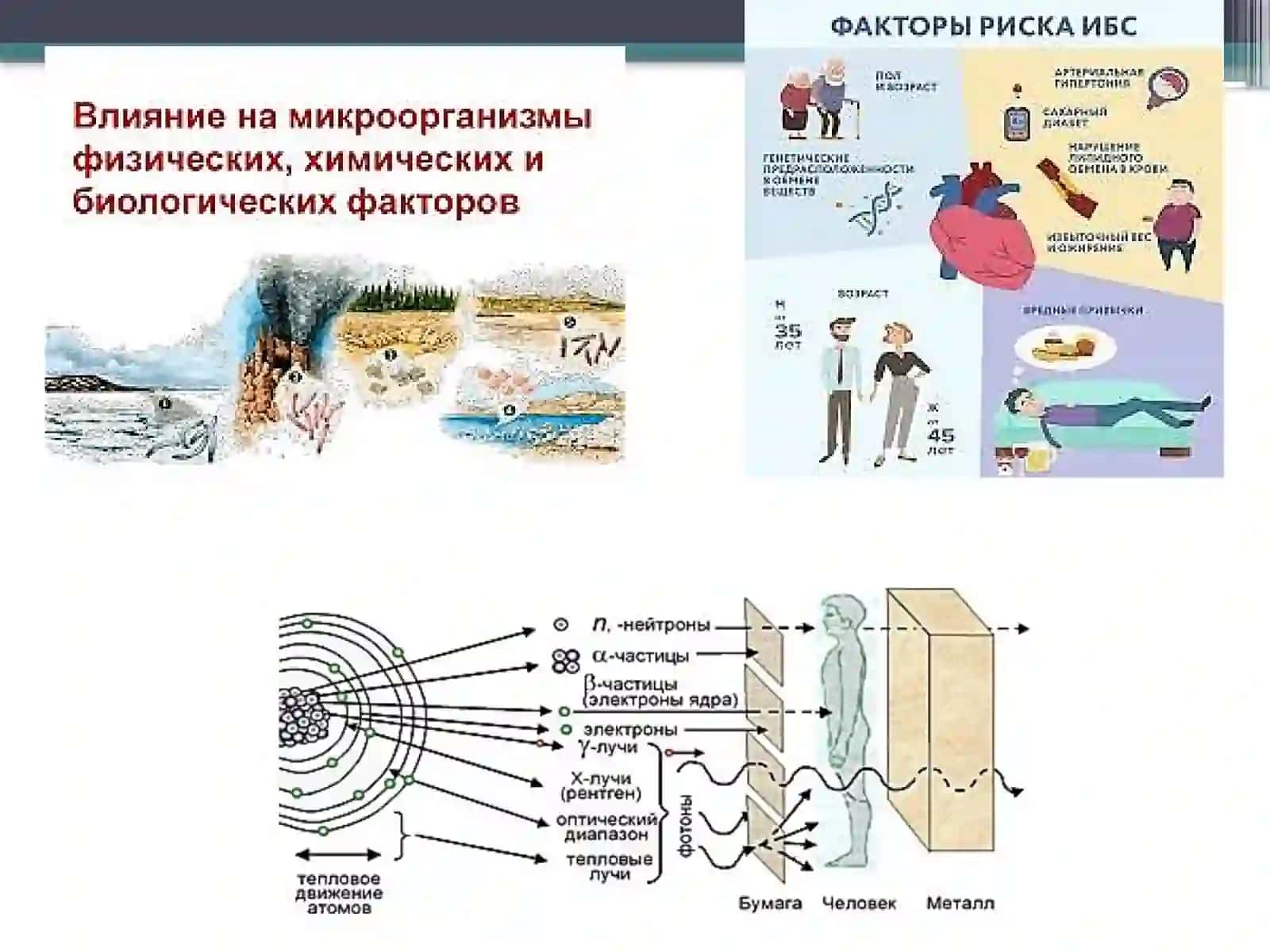 Biobektlarga fizikomillarning ta'siri 4