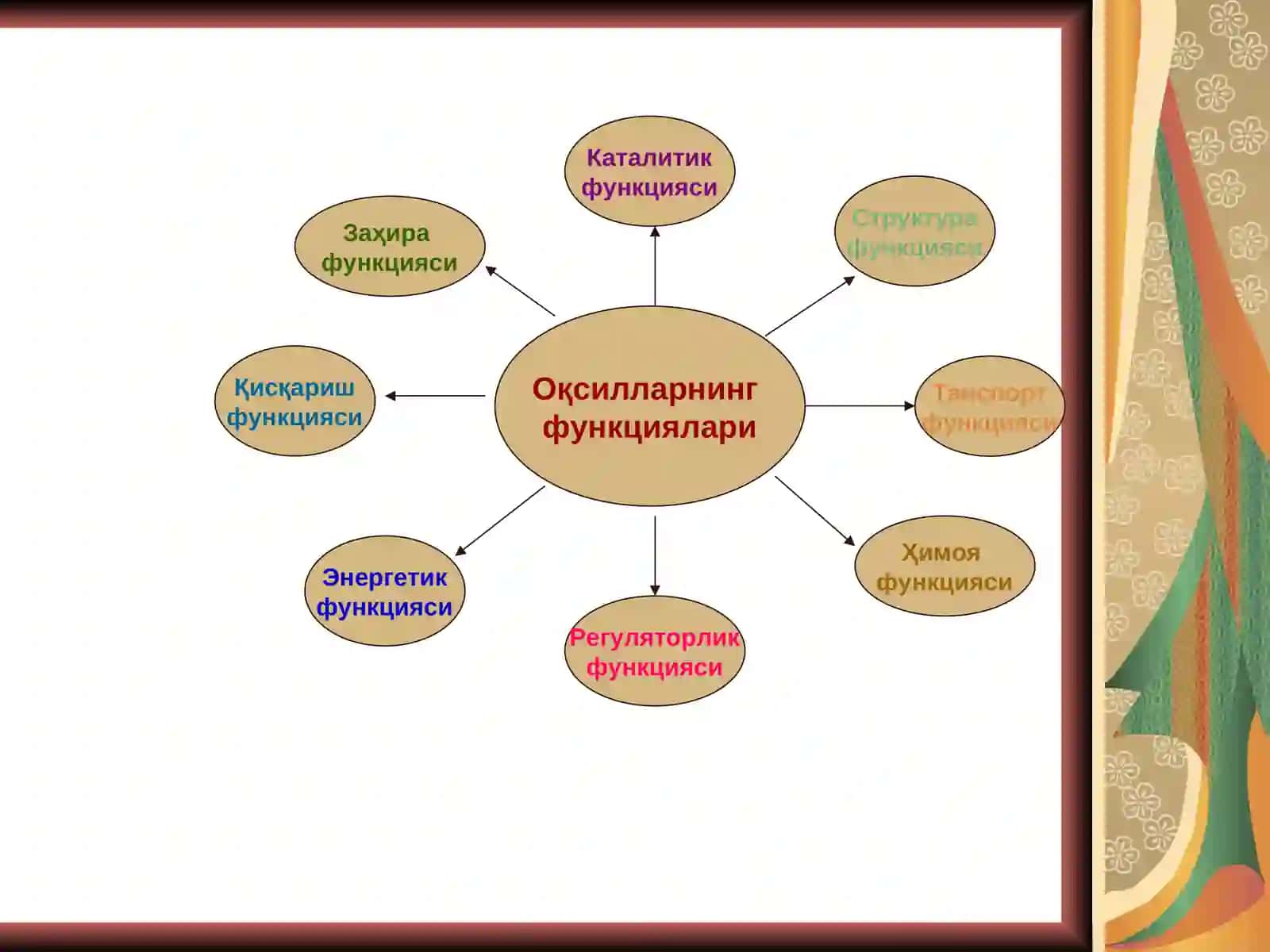 Оқсиллар ёки Протеинлар 4