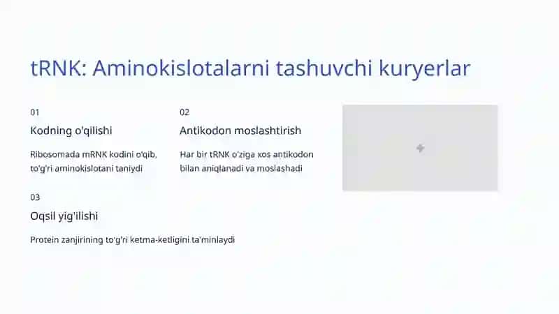 RNK Turlari va Ularning Funksiyalari 4