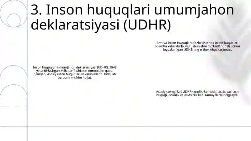 BMT Va Inson Huquqlari 4